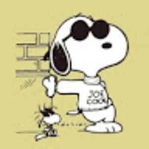 Meet your Posher, Manuel antonio